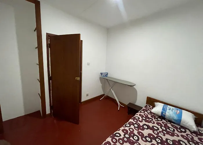 Huisdiervriedelijke 
