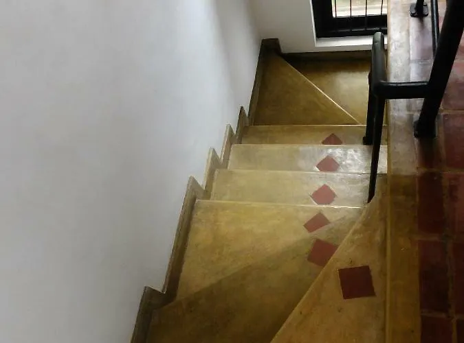 Tricyclebnb & Cafe Bed and Breakfast Colombo admite animales